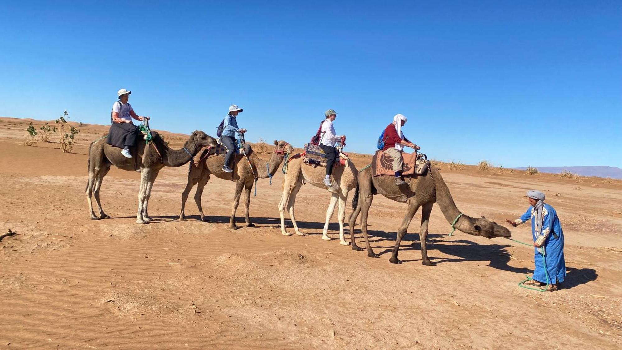Atta Desert Camp El Gouera Eksteriør billede