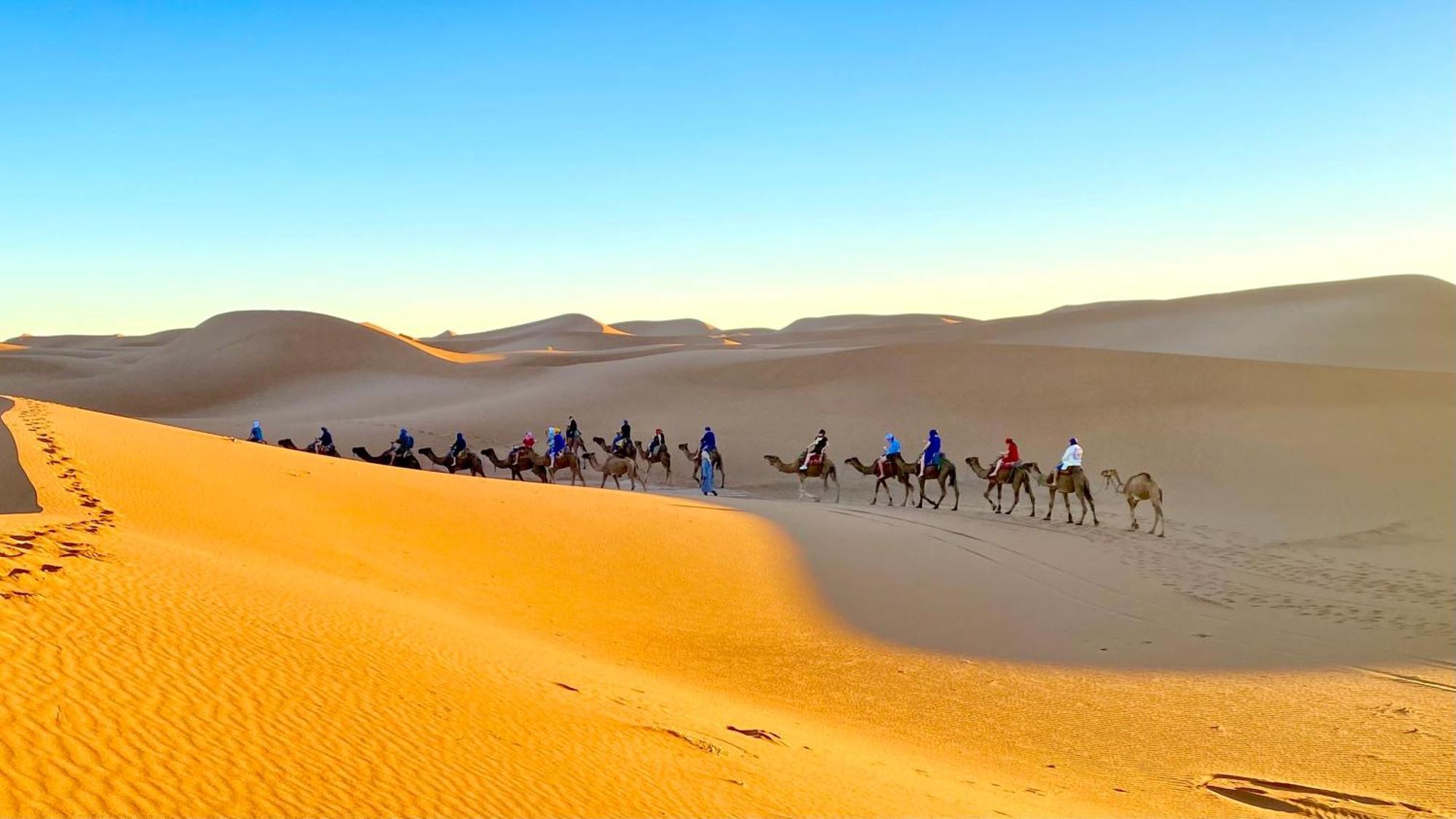Atta Desert Camp El Gouera Eksteriør billede