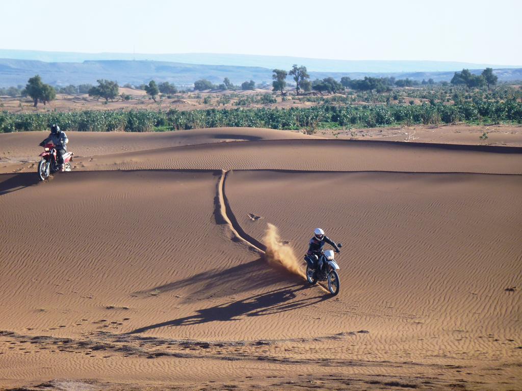 Atta Desert Camp El Gouera Eksteriør billede