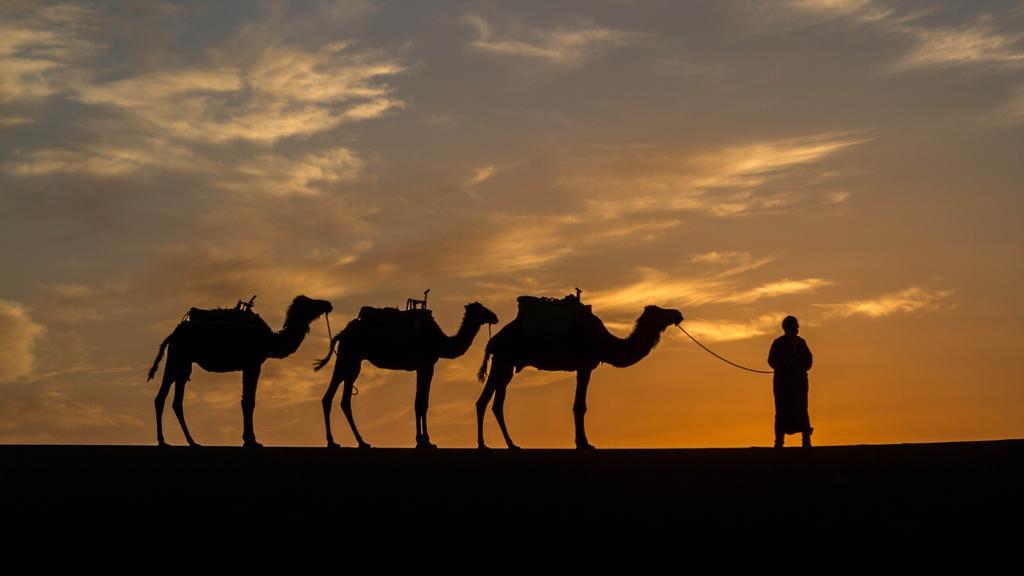 Atta Desert Camp El Gouera Eksteriør billede